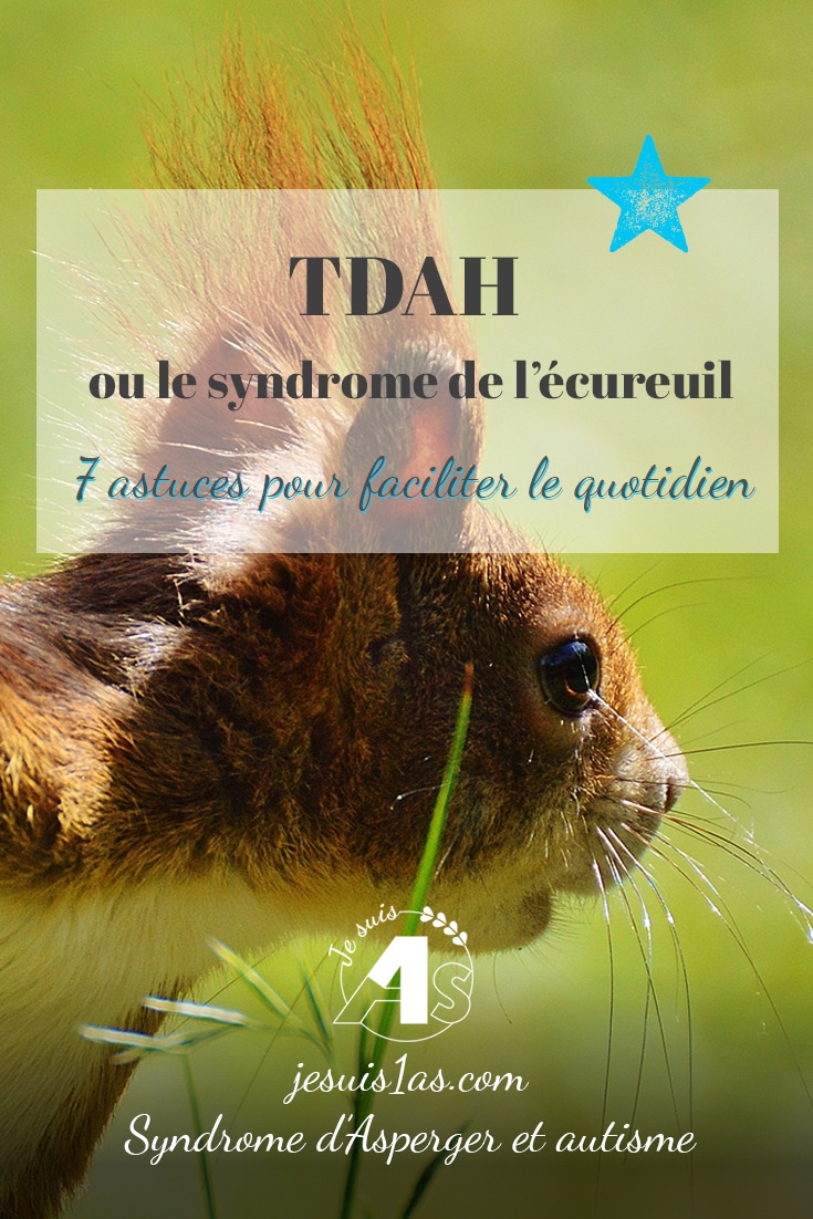 TDAH ou le syndrome de l\'écureuil : 7 astuces pour faciliter le quotidien